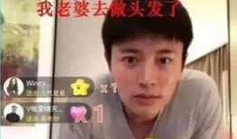 娱乐吃瓜电视剧全集小花,娱乐圈风云录